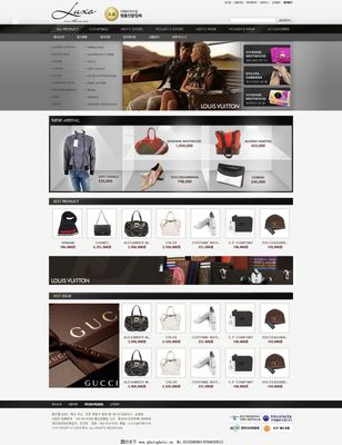 网页设计 构建高效、美观的网站体验